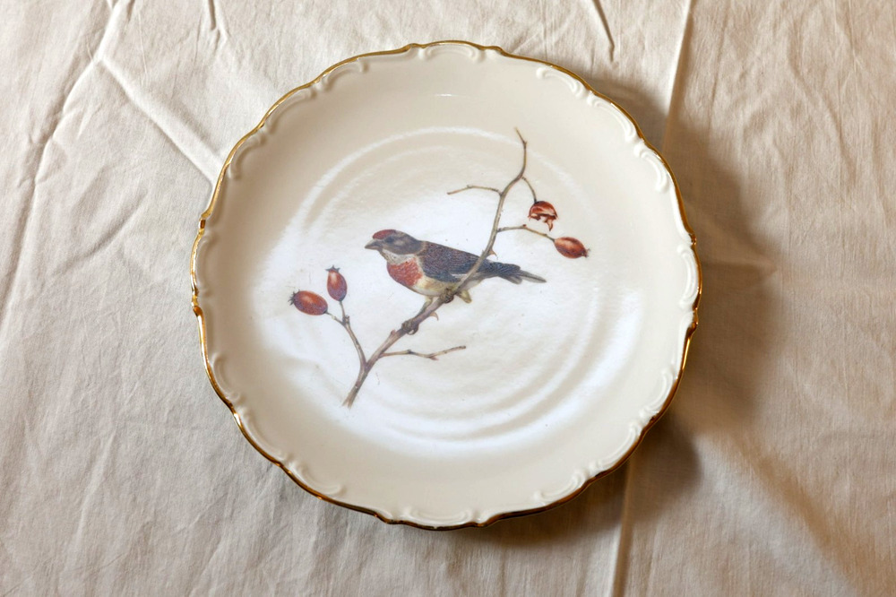 1950s Schumann Arzberg Bavaria Royal Crown E+R Bird Porcelain Plate #41